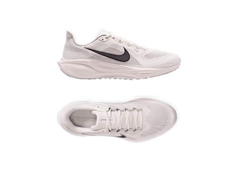 Nike Pegasus 41 (FD2722-011) weiss