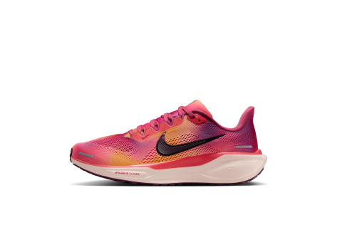 Nike Pegasus 41 SE (HQ2464-800) bunt