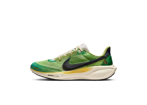 Nike Air Zoom Pegasus 41 SE (IH3583-999) bunt