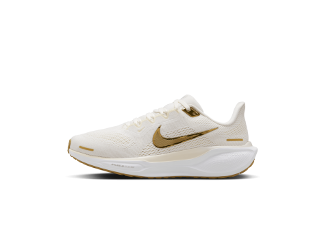 Nike Pegasus 41 (FD2723-005) weiss