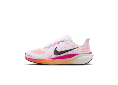 Nike Pegasus 41 (FD2723-120) bunt