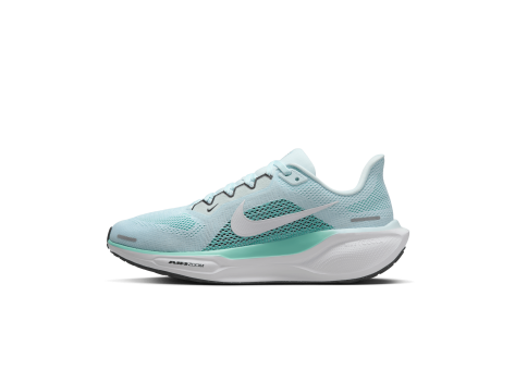 Nike Pegasus 41 (FD2723-401) blau