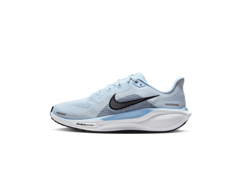 Nike Pegasus 41 (FD2723-404) blau