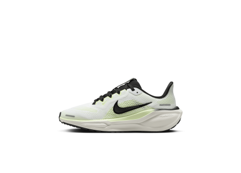 Nike Pegasus 41 Stra (FN5041-102) weiss