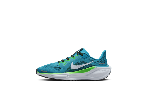 Nike Pegasus 41 (FN5041-300) blau