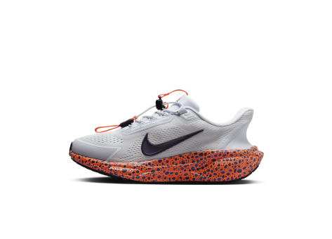 Nike Pegasus EasyOn (FZ8753-900) bunt