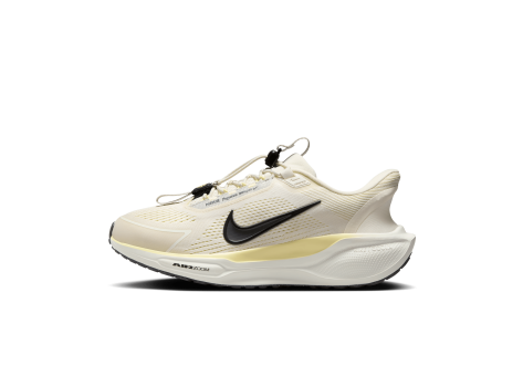 Nike Pegasus EasyOn Stra (FQ7844-102) braun