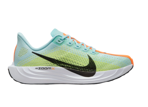 Nike Pegasus Plus (FQ7261-400) grau