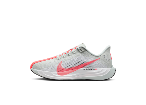 Nike Pegasus Plus (FQ7261-001) grau