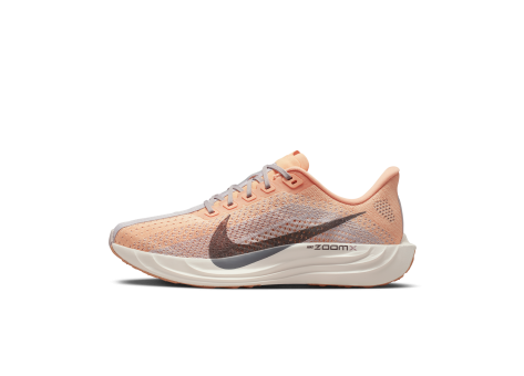 Nike Pegasus Plus (FQ7261-702) bunt