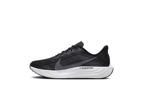 Nike Pegasus Plus (FQ7262-002) schwarz