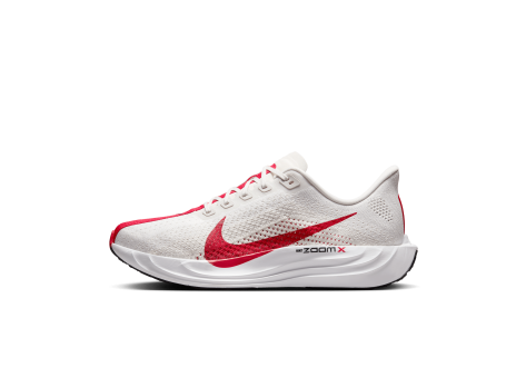 Nike Pegasus Plus Stra (FQ7262-003) grau