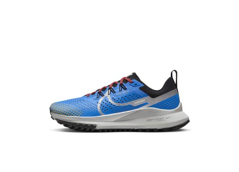 Nike Pegasus Trail 4 (DJ6159-401) blau