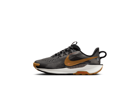 Nike Pegasus Trail 5 gs (FV5638-005) schwarz