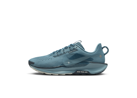 Nike Pegasus Trail 5 (DV3864-005) blau