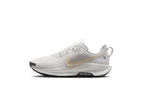 Nike Pegasus Trail 5 (DV3864-008) weiss