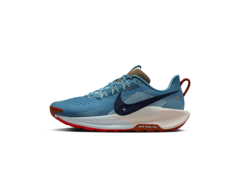 Nike Pegasus 5 Trail (DV3864-402) blau