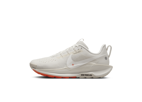 Nike Pegasus Trail 5 (DV3865-003) weiss