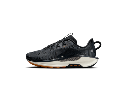 Nike Pegasus Trail 5 (DV3865-006) schwarz