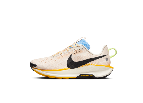 Nike Pegasus Trail 5 (DV3865-007) grau