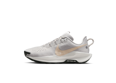 Nike Pegasus Trail 5 (DV3865-009) beige