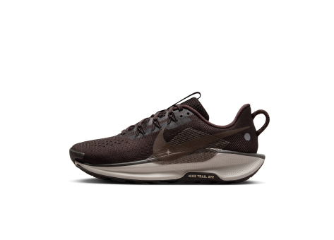 Nike Pegasus Trail 5 (DV3865-202) braun