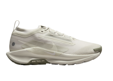 Nike Pegasus Trail 5 GTX Gore Tex (FQ0912-006) beige