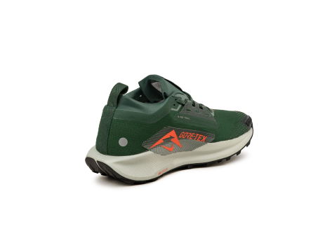Nike Pegasus Trail 5 Gore Tex (FQ0908-301) grün