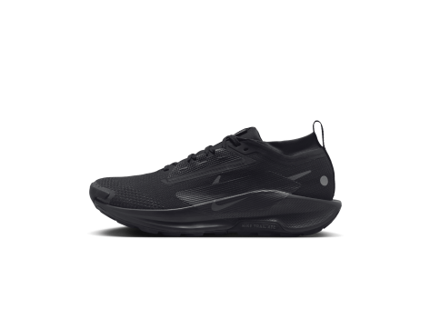 Nike Pegasus Trail 5 GORE TEX (FQ0908-002) schwarz