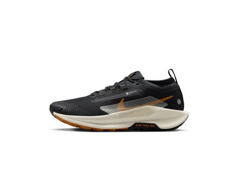 Nike Pegasus Trail 5 GORE TEX wasserdichter (FQ0908-007) schwarz