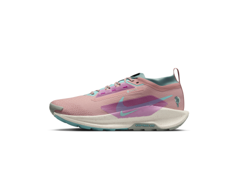 Nike Pegasus Trail 5 GORE TEX (FQ0908-600) pink