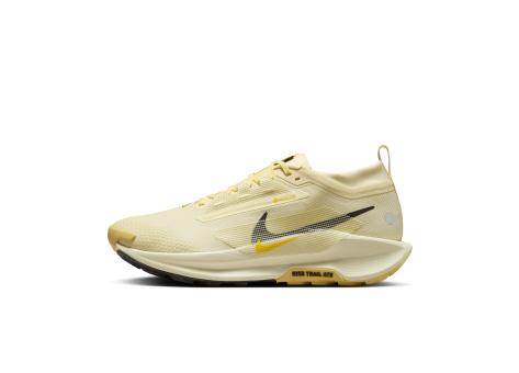 Nike Pegasus Trail 5 Gore Tex (FQ0908-700) beige