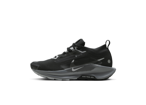 Nike Pegasus Trail 5 GORE TEX schwarz FQ0912 001 Preisvergleich