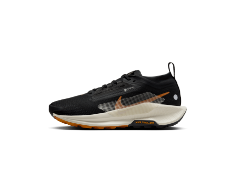 Nike Pegasus Trail 5 GORE TEX wasserfester (FQ0912-005) schwarz