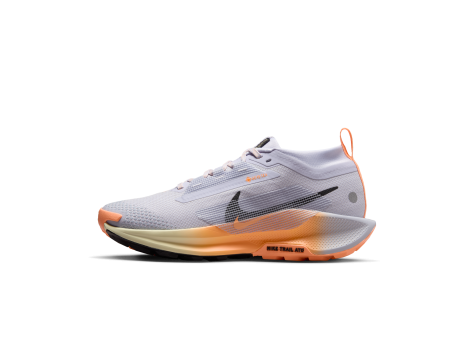 Nike Pegasus Trail 5 Gore Tex (FQ0912-011) weiss