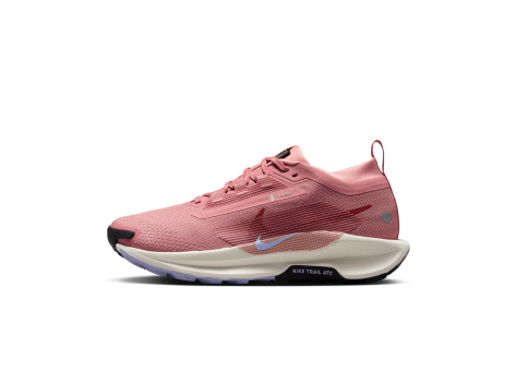 Nike Pegasus Trail 5 Gore TEX (FQ0912-602) pink