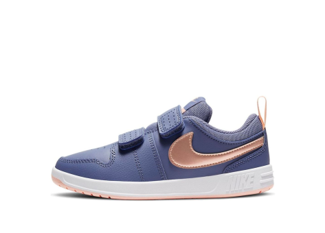 Nike Pico 5 (AR4161-401) blau