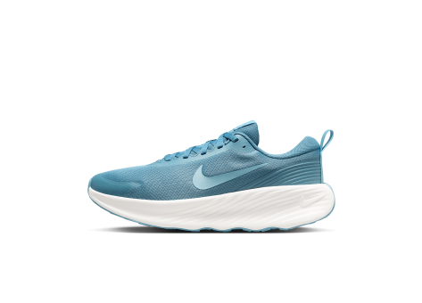 Nike Promina (FV5285-006) blau