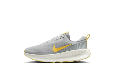 Nike Promina (FV5285-007) grau