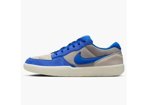 Nike SB Force 58 Light Orewood Racer Blue (DV5477-011) bunt