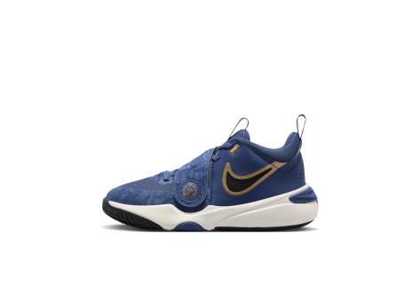 Nike Team Hustle D 11 (FZ8463-400) blau