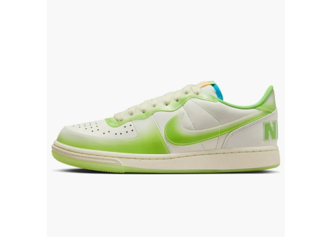 Nike Terminator Low Sofvi (FN7651 133) bunt