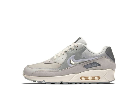 Nike The Basement x Air Max 90 London (CI9111 002) grau