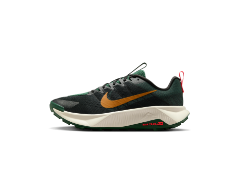 Nike Wildhorse 10 (FV2338-005) bunt