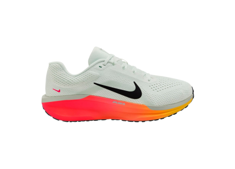 Nike Winflo 11 (FJ9509-111) weiss