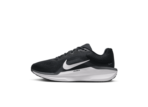 Nike Winflo 11 (FJ9510-001) schwarz