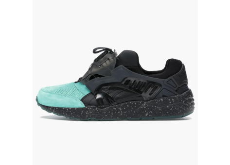 PUMA Disc OG Ronnie Atlantis Coa Fieg (356609 01) bunt