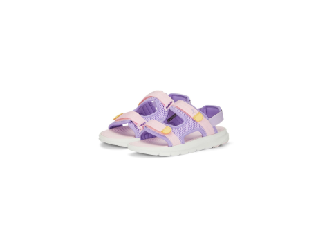 PUMA Evolve Sandal (390449-005) lila