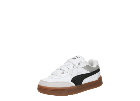 PUMA Park SK8 PS (401950-01) bunt