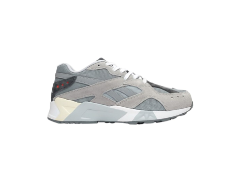 Reebok Packer x Aztrek (DV9835) grau